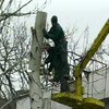 Коммунальщики Запорожья объявили войну старым деревьям