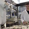 Новый английский робот собирает грибы