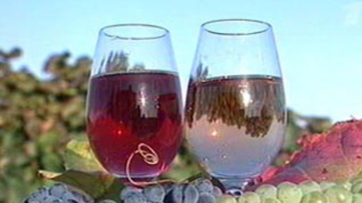 Красное вино защищает от болезней десен