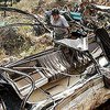 В Мексике автобус с паломниками упал в пропасть