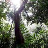 В Коста-Рике нашли потерявшегося в джунглях министра