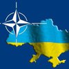 Минобороны опровергает информацию о строительстве базы НАТО в Крыму