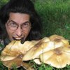 Украинцам советуют отказаться от грибов