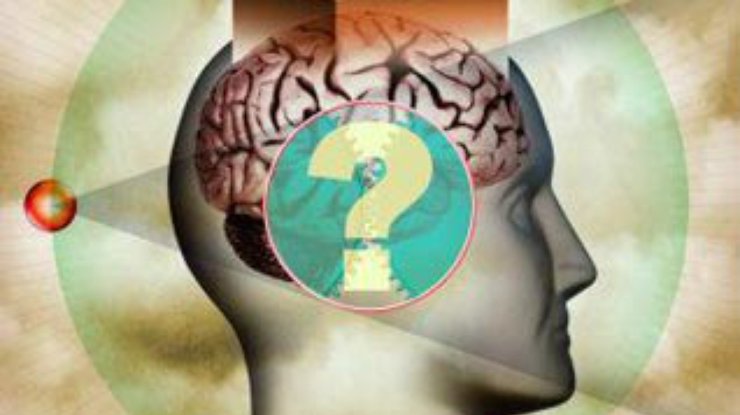 Предрассудки можно "увидеть" в коре головного мозга