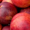Сладкие фрукты помогут бороться с раком