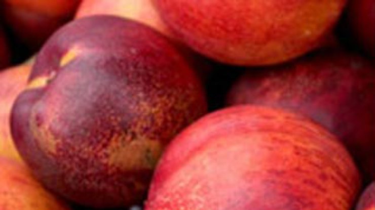 Сладкие фрукты помогут бороться с раком