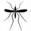 Искоренить малярию призвано изобретение британских ученых