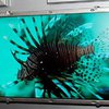 Samsung начинает поставки телевизоров с эффектом присутствия