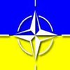 Украина не намерена откладывать членство в НАТО