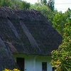 Ко Дню независимости решили вырастить крышу
