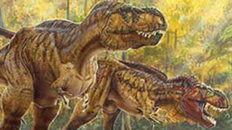 динозавры и вещи