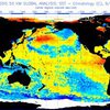 В Тихом океане снова зародился климатический феномен Эль-Ниньо
