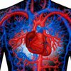 В Украине появится Национальный центр сердца