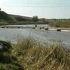 В Донецкой области отравили речку