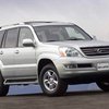 В Украине орудует банда угонщиков Lexus