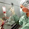 Врачи пересадили эмбриональные стволовые клетки в мозг человека