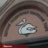 Подопечным Одесского зоопарка нечего есть
