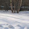 В России вновь выпал цветной снег
