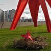 Скульптуры Олимпийского парка в Сиэтле рожают