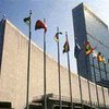 В штаб-квартире ООН завелись крысы