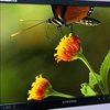Samsung представила 30-дюймовый монитор со светодиодной подсветкой