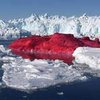 Датский художник перекрасит Монблан в красный цвет