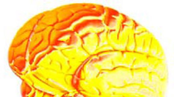 Ученые обнаружили источник дежавю в области мозга