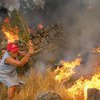 В Калифорнии лесной пожар уничтожил 160 строений