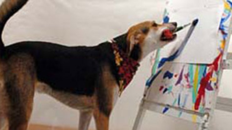В США собак учат рисовать кисточками