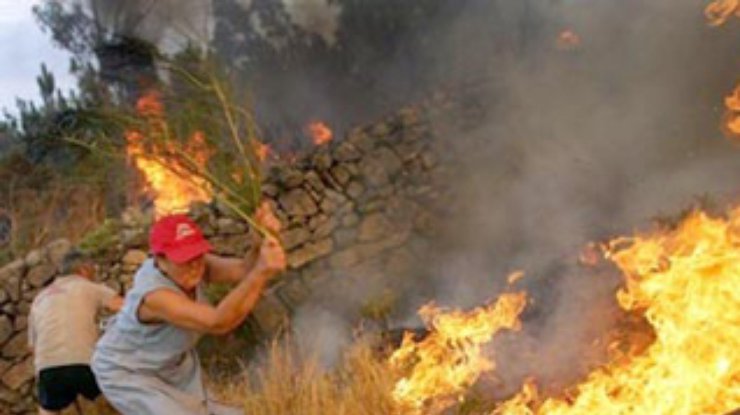 В Калифорнии лесной пожар уничтожил 160 строений