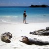 ЮНЕСКО: Галапагосские острова в опасности