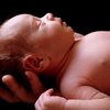 В Германии вырос уровень рождаемости впервые за 10 лет