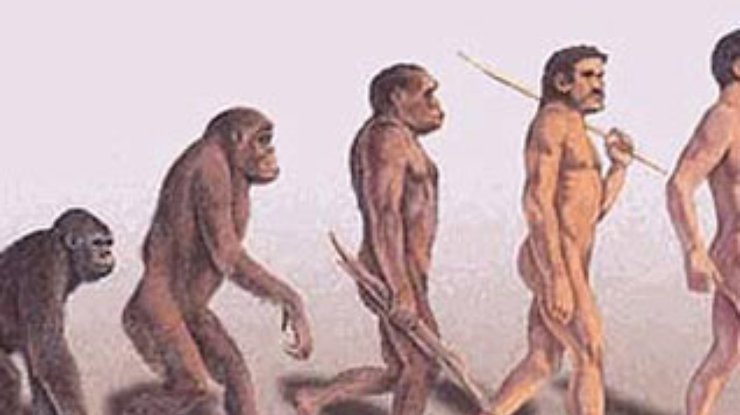 The Times: Ученые готовы пересмотреть теорию эволюции