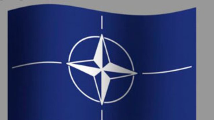Крымские "регионалы": НАТО неминуемо