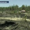 На Луганщине удалось погасить крупный лесной пожар