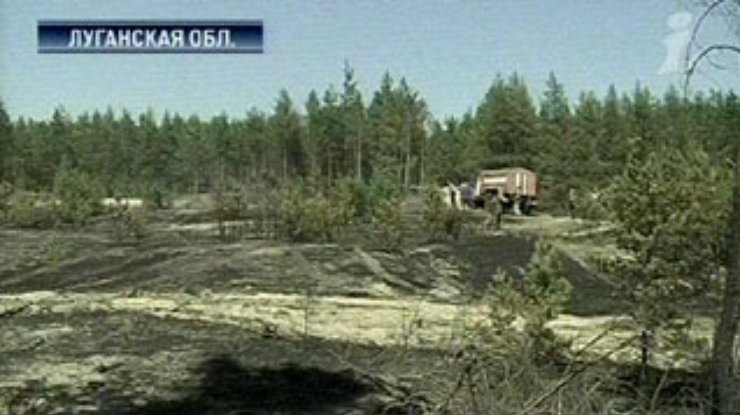 На Луганщине удалось погасить крупный лесной пожар