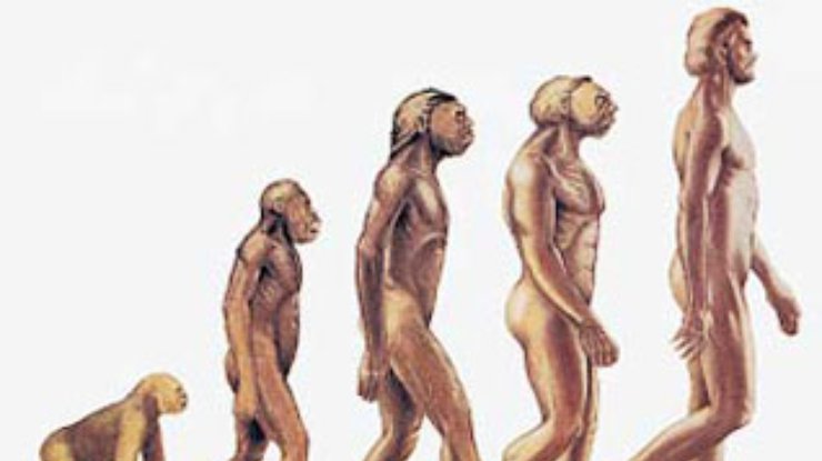 Предки Homo sapiens были не менее умными?