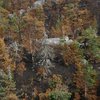 Пожарным удалось взять под контроль лесные пожары в Греции