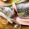 Почитателям сырой рыбы грозит рак печени