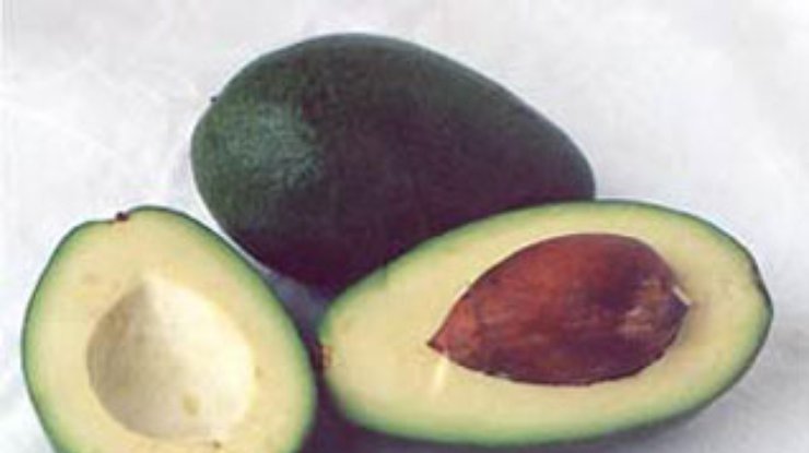 Исследование: Авокадо способно предотвратить рак