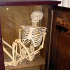 Исследование: Каждый шестой британец находит "скелет в шкафу"