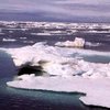 Российские геологи объявили арктический шельф территорией РФ