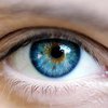 Медики выяснили механизм регенерации зрения