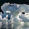 Полностью судоходной Арктика станет к лету 2100 года