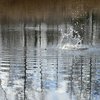 Американец установил мировой рекорд по метанию камней в воду