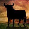 Испания отмечает юбилей черного быка