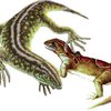 Найдены следы самой древней рептилии на Земле