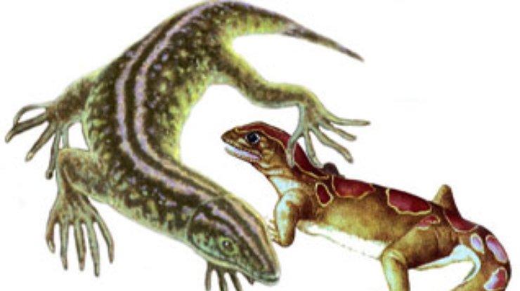 Найдены следы самой древней рептилии на Земле