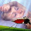 Успешно завершилась 20-летняя разработка противомалярийной вакцины