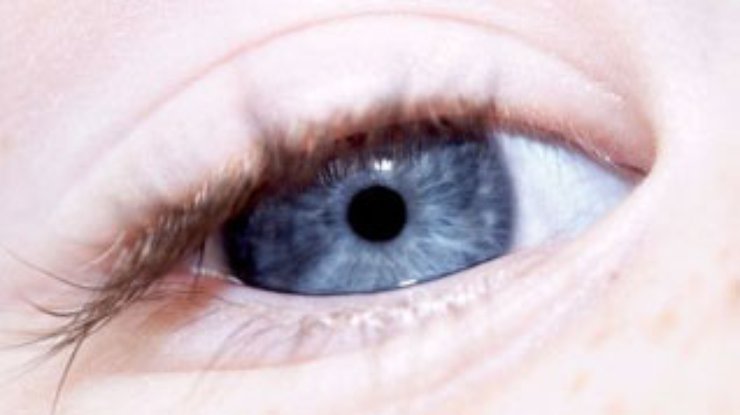 Ученые смогут "выращивать" искусственные глаза